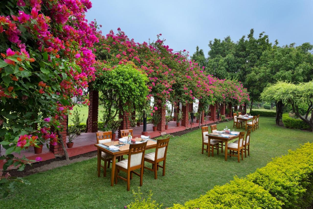 Naturoville Wellness Resort Rishikesh - Surrounded By Nature, Rooted In Wellness Doiwala Bagian luar foto